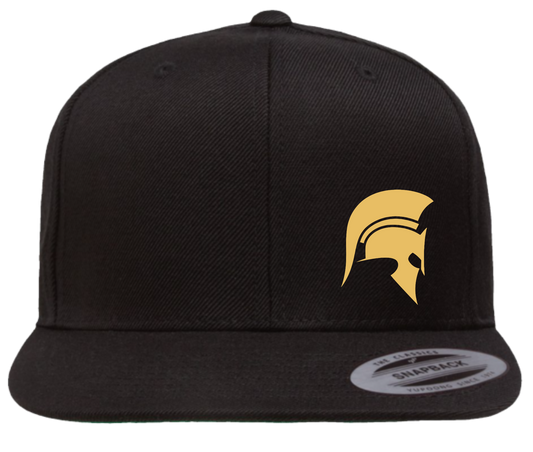 Victoria Spartans Football Flat Brim Snapback Hats