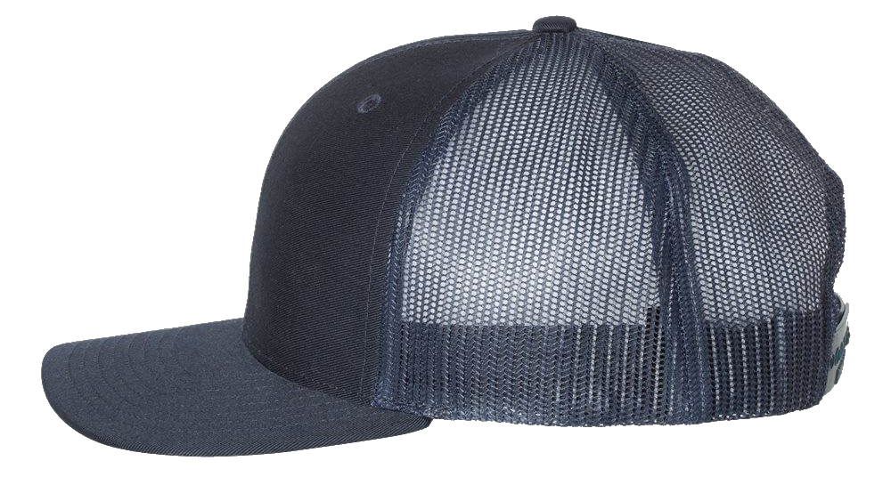 Lions Baseball Trucker Hat