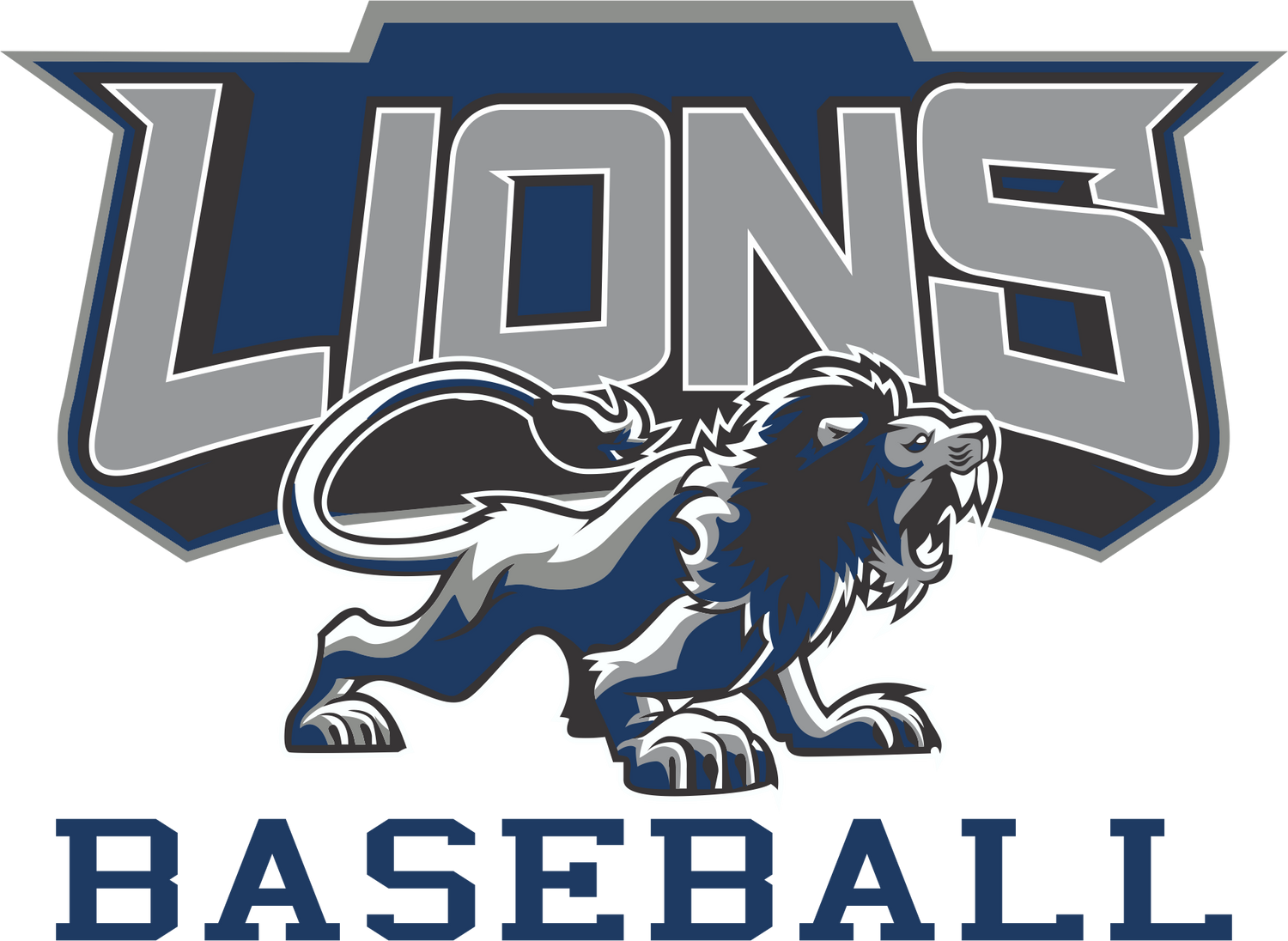 Lions Baseball Spirit Wear