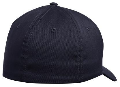 Lions Baseball Flex Fit Hat