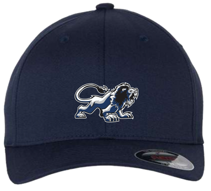 Lions Baseball Flex Fit Hat