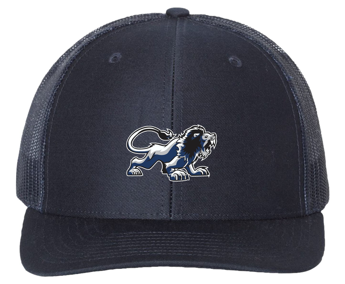 Lions Baseball Trucker Hat